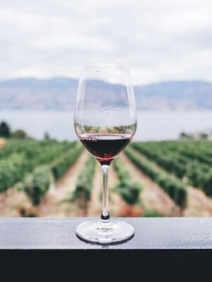 One-Touch Electric Wine & Spirits Aerator Dispenser Pump