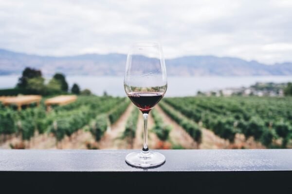 One-Touch Electric Wine & Spirits Aerator Dispenser Pump One-Touch Electric Wine & Spirits Aerator Dispenser Pump